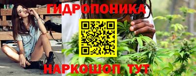 каннабис Кингисепп