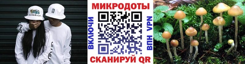 купить наркотики сайты  Хасавюрт  Псилоцибиновые грибы мицелий 