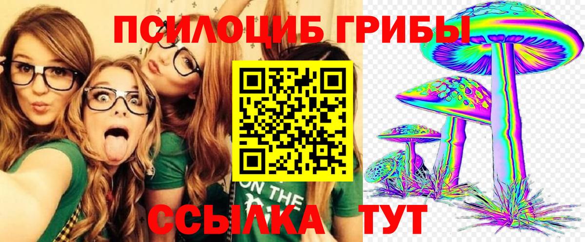 Псилоцибиновые грибы GOLDEN TEACHER  Галлюциногенные грибы мухоморы  Хасавюрт  Вход с VPN 