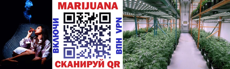 хочу   Хасавюрт  Каннабис марихуана 